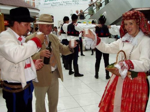 Slovácké slavnosti vína - 10.9.2005